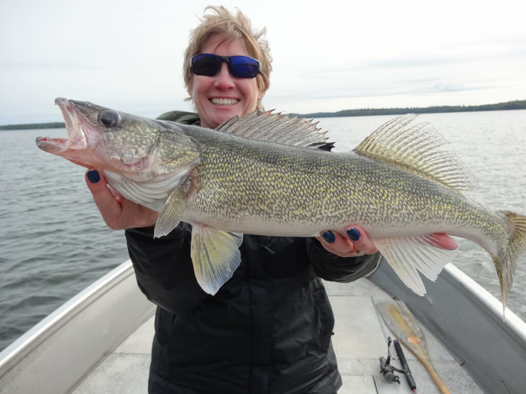 Mayfly Secrets for Walleye Anglers - On the Lake
