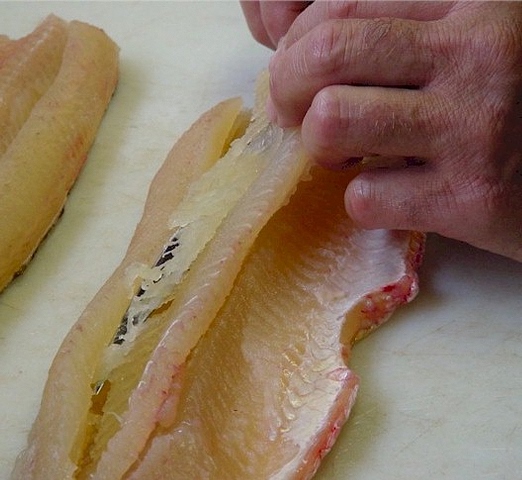 Cutting under the y-bones of northern pike