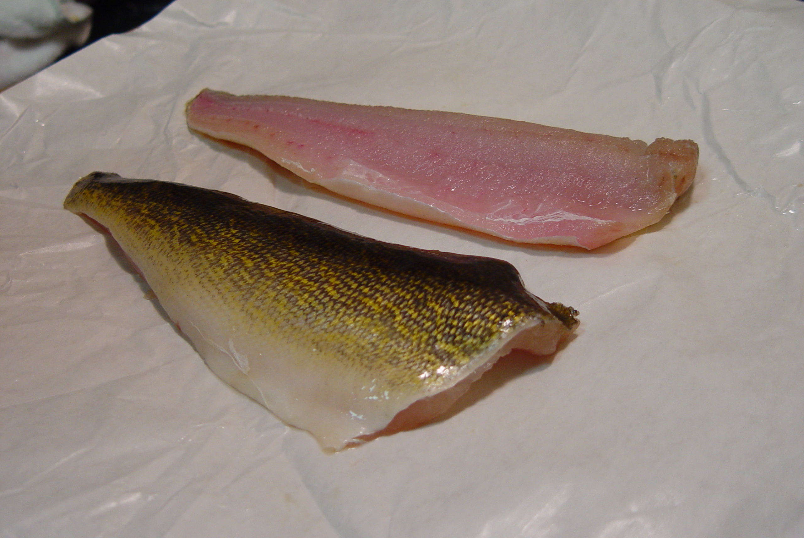 Removing the Skin from Walleye & Other Fish