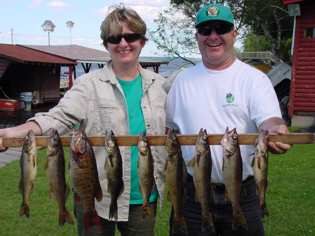 Walleye caught on Rainy Lake with fishing guide